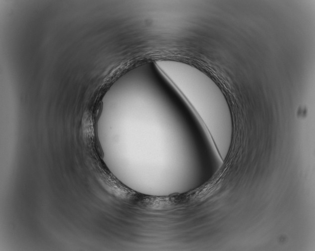 X0000101200384200806270835