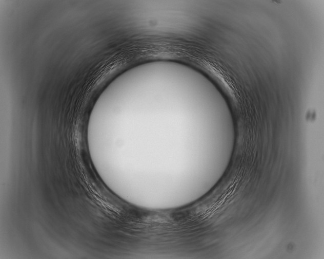 X0000101200386200806270835