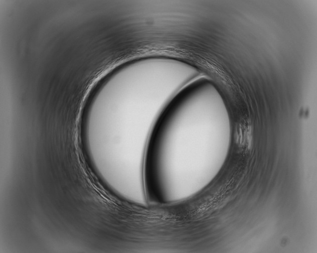 X0000101200388200806270835