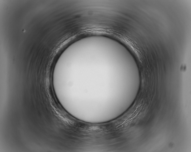 X0000101200390200806270835