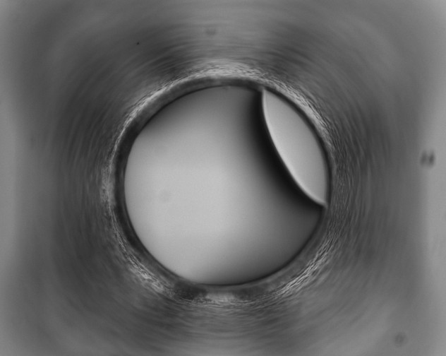 X0000101200391200806270835