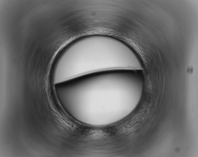 X0000101200392200806270835