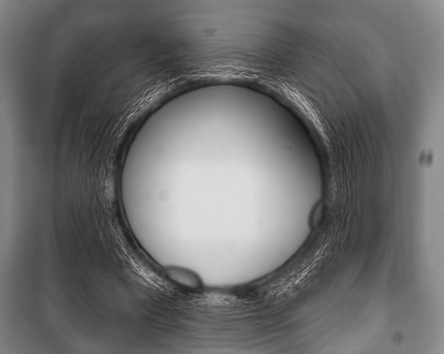 X0000101200393200806270835