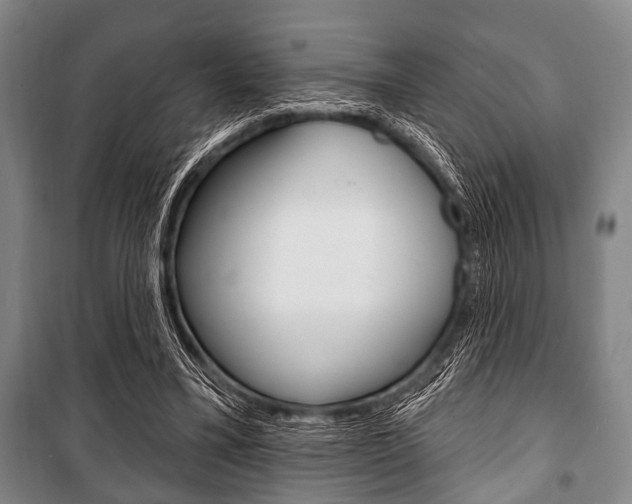 X0000101200395200806270835