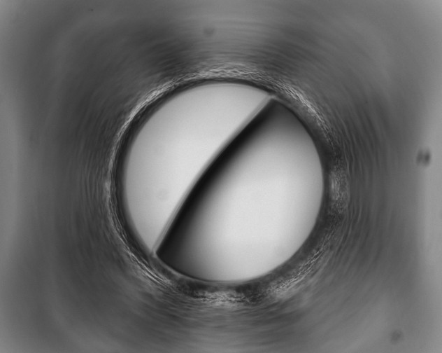 X0000101200396200806270834