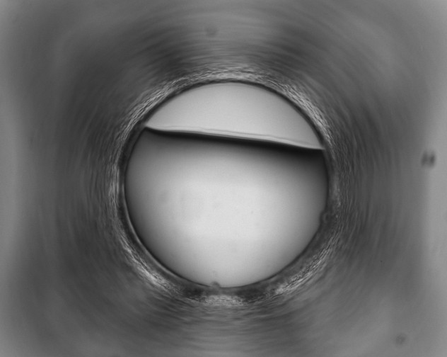 X0000101200397200806270834