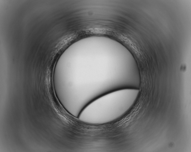 X0000101200398200806270834