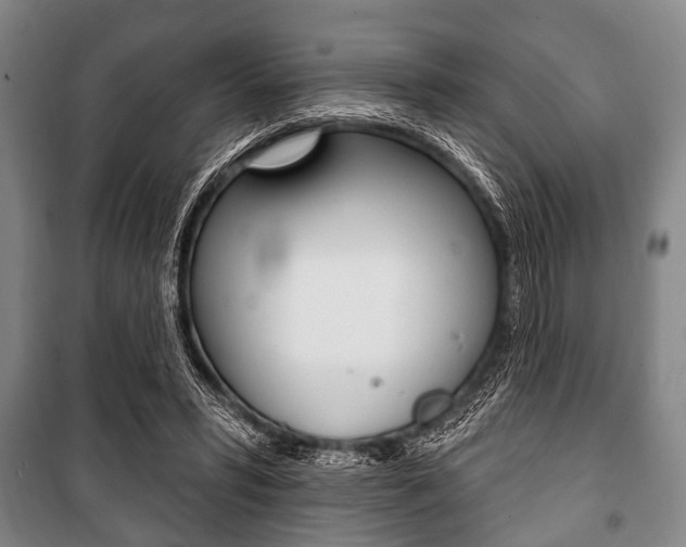 X0000101200399200806270834