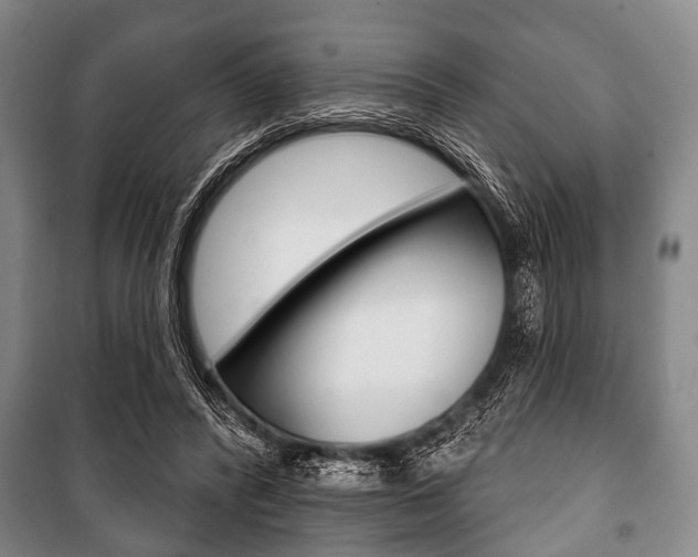 X0000101200400200806270834