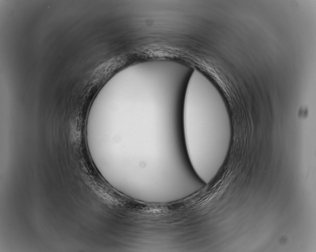 X0000101200402200806270834
