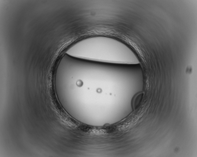 X0000101200403200806270834