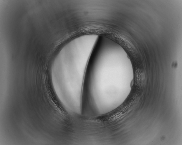 X0000101200404200806270834