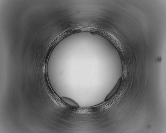 X0000101200405200806270834