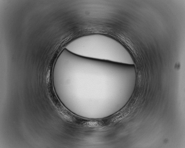 X0000101200406200806270834