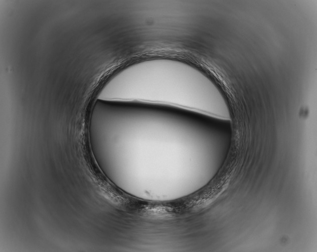 X0000101200407200806270834