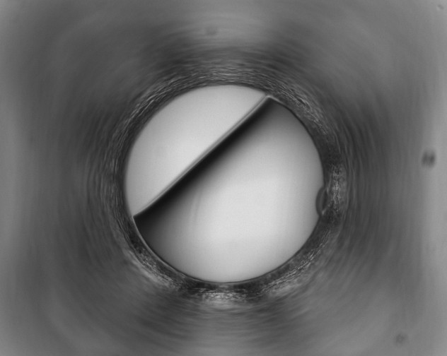 X0000101200408200806270834