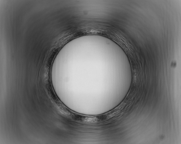 X0000101200410200806270834