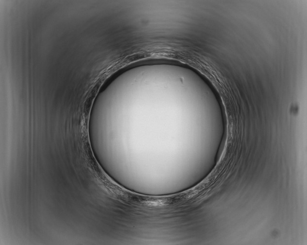 X0000101200411200806270834