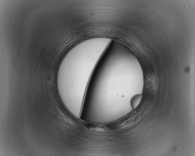 X0000101200412200806270834
