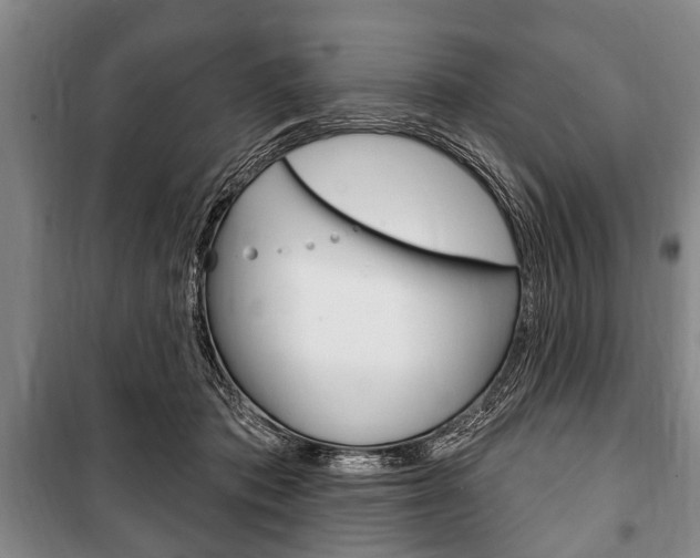 X0000101200413200806270834