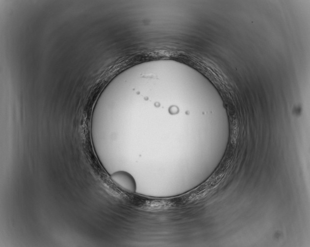 X0000101200414200806270834