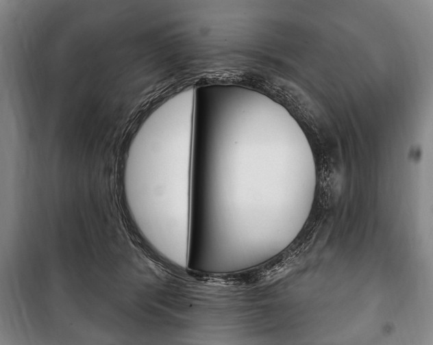 X0000101200416200806270834