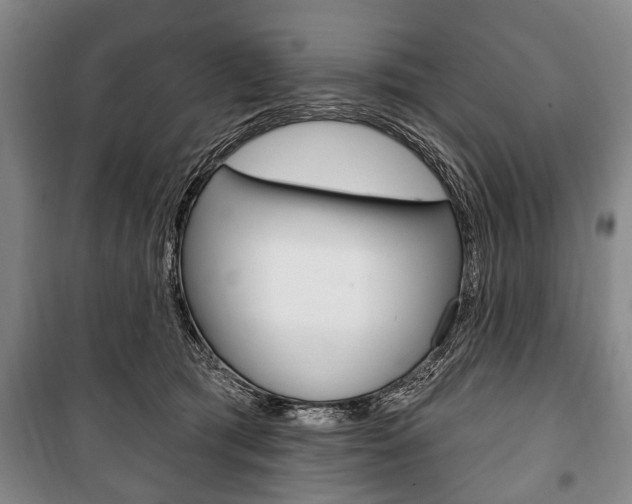 X0000101200417200806270834