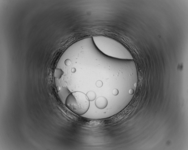 X0000101200418200806270834