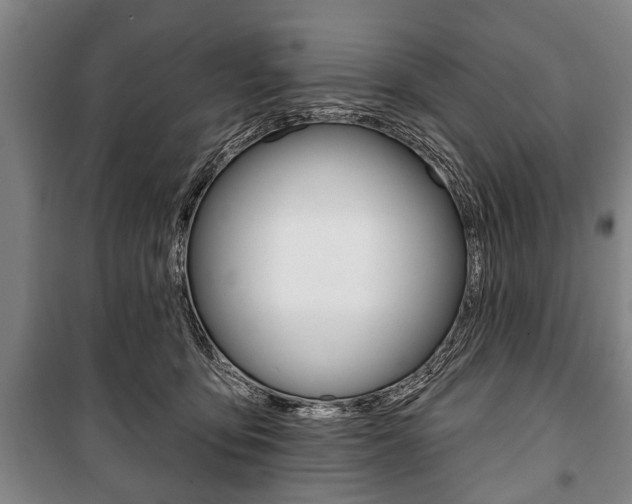 X0000101200419200806270834
