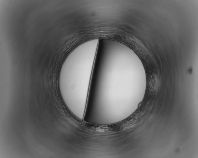 X0000101200420200806270834