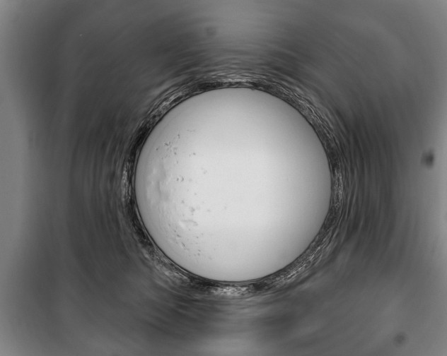 X0000101200422200806270834