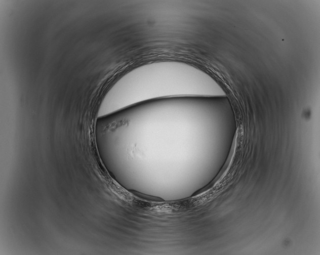 X0000101200423200806270834