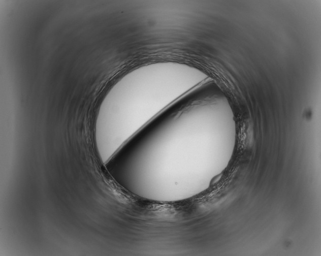 X0000101200424200806270834