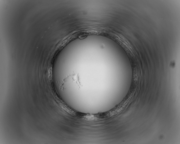 X0000101200425200806270834