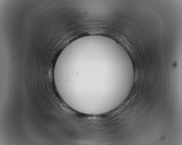 X0000101200426200806270834