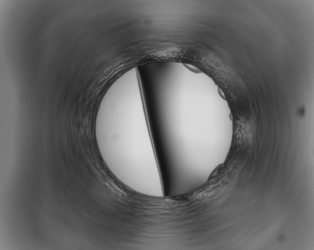 X0000101200428200806270834