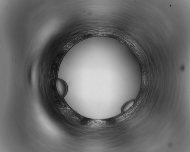 X0000101200429200806270834