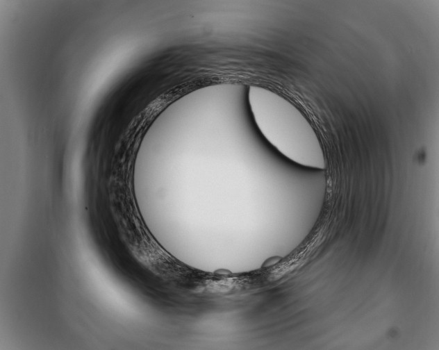 X0000101200430200806270834