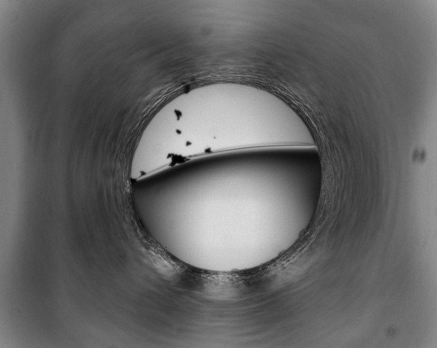 X0000101200432200806270834