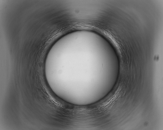 X0000101200433200806270833