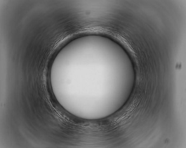 X0000101200434200806270833