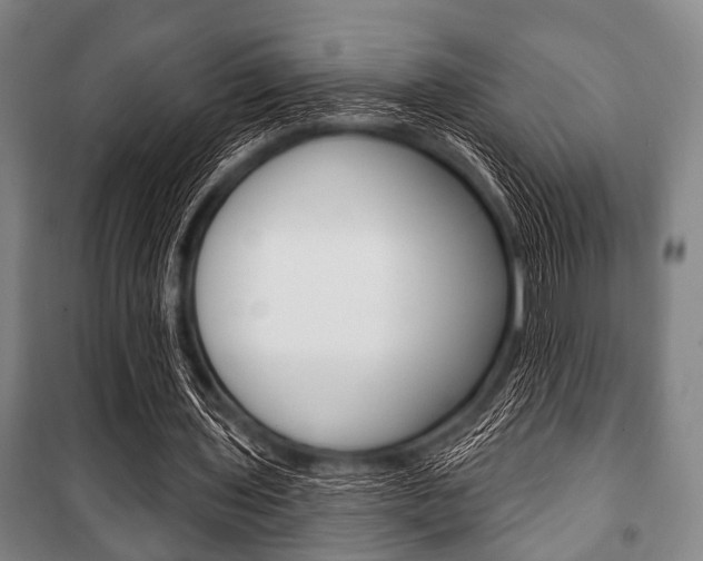 X0000101200435200806270833