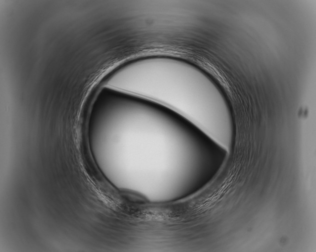 X0000101200436200806270833