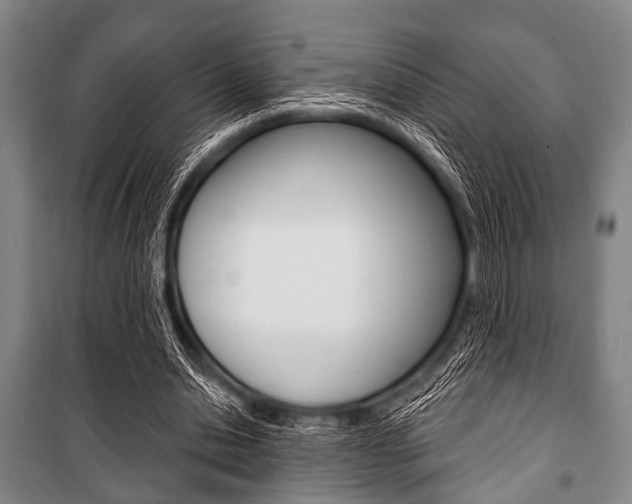 X0000101200438200806270833