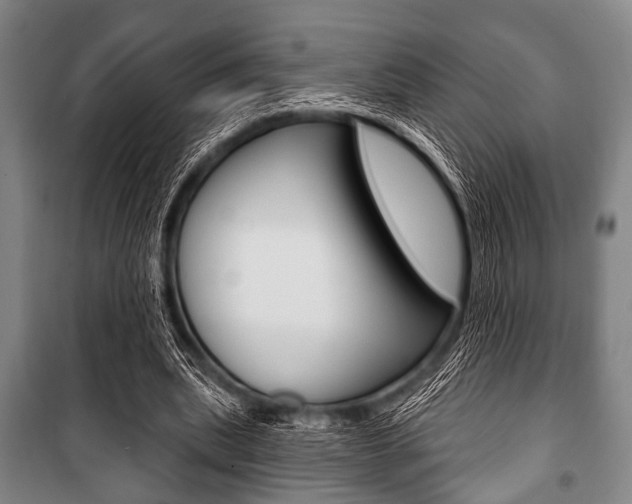 X0000101200439200806270833