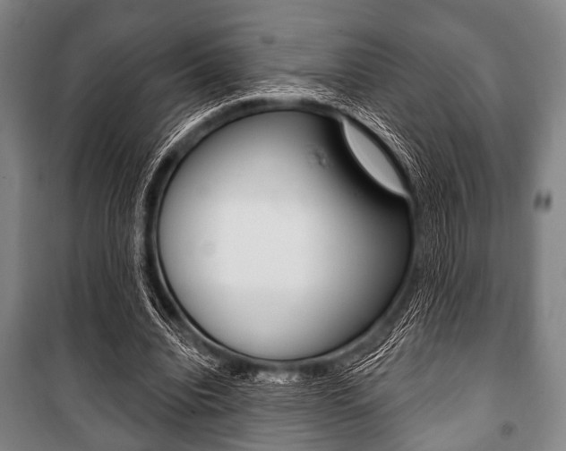 X0000101200440200806270833