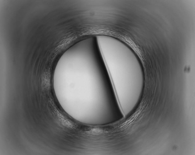 X0000101200441200806270833