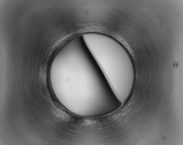 X0000101200442200806270833