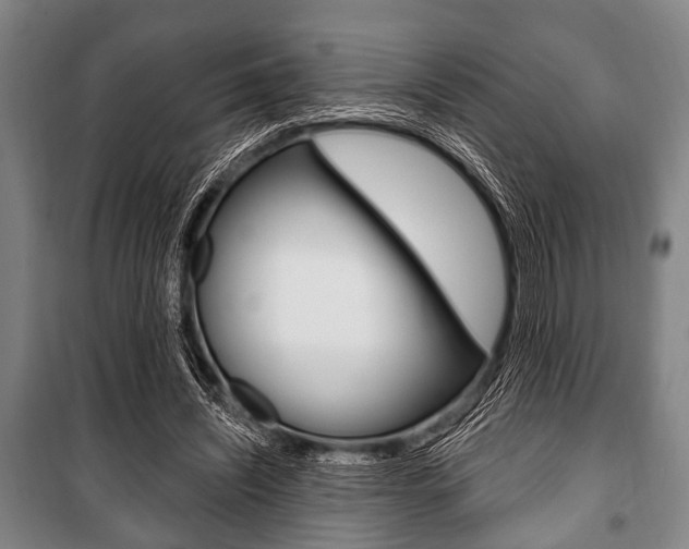 X0000101200444200806270833