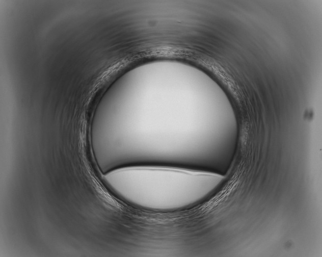 X0000101200445200806270833